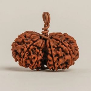 Energized Isha Gauri-Shankar Rudraksha