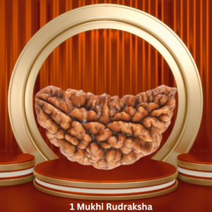 Authentic 1 Mukhi Rudraksha by Purohitmoshay