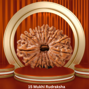 Authentic 15 Mukhi Rudraksha by Purohitmoshay