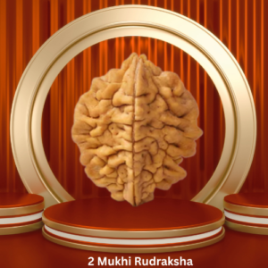 Authentic 2 Mukhi Rudraksha by Purohitmoshay