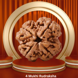 Authentic 4 Mukhi Rudraksha by Purohitmoshay