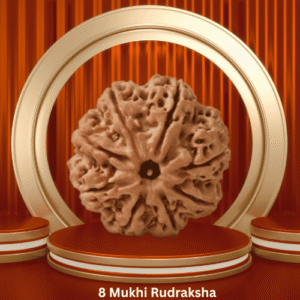 Authentic 8 Mukhi Rudraksha by Purohitmoshay