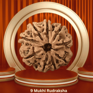 Authentic 9 Mukhi Rudraksha by Purohitmoshay