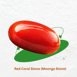Purohitmoshay Certified Natural Red Coral (Moonga)
